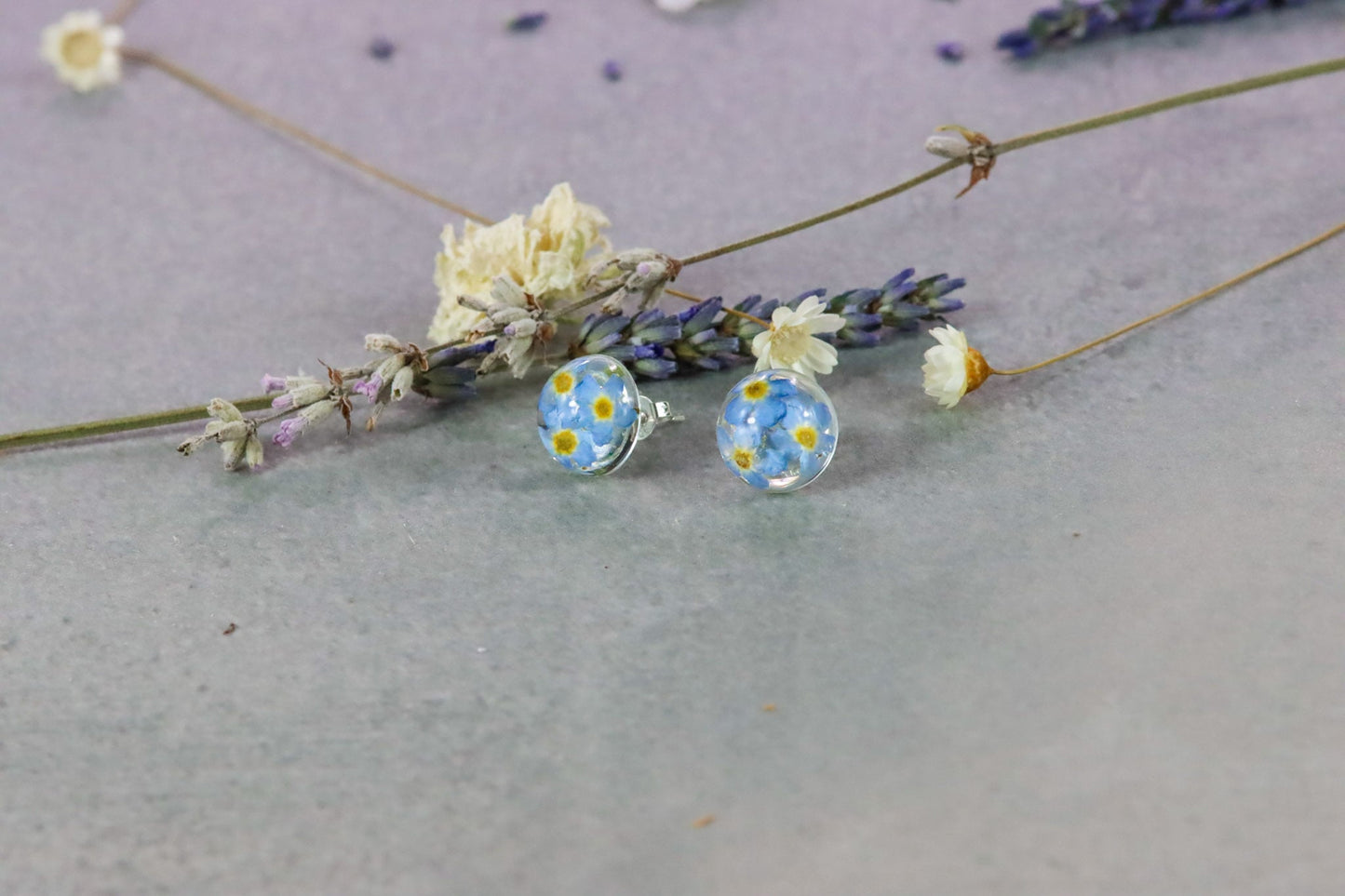 Vergissmeinnicht forgetmenot Ohrstecker earrings Schmuck silber silver Naturschmuck Epoxidharz Ohrringe earstuds elegant flowers