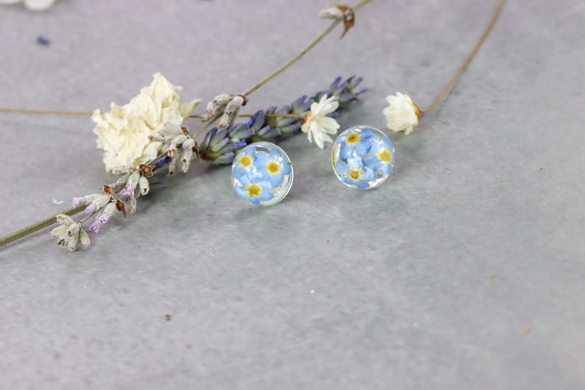 Vergissmeinnicht forgetmenot Ohrstecker earrings Schmuck silber silver Naturschmuck Epoxidharz Ohrringe earstuds elegant flowers