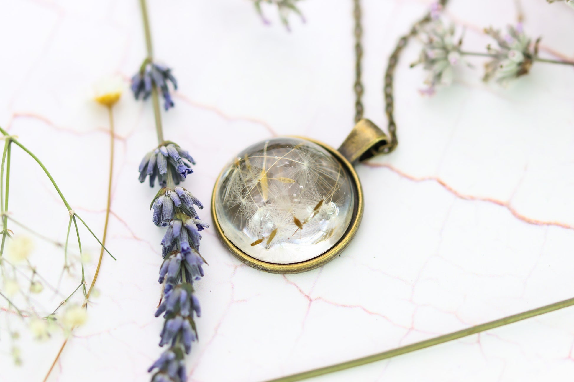 Pusteblume Dandelion Cabochon Halskette Bronze Schmuck necklace jewelry Wunsch Geschenkidee unique einzigartig Naturschmuck Epoxidharz